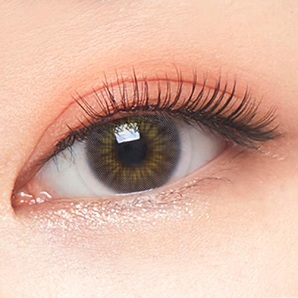 aster gray eye Aster Gray - Image 1