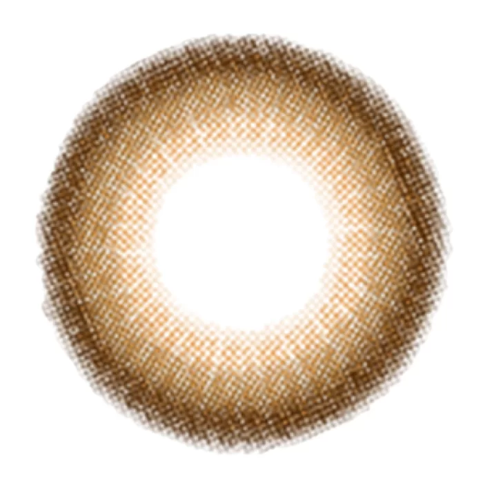 Coco - Brown - Image 2