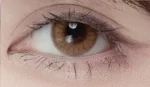 Poesie Chai - Image 3